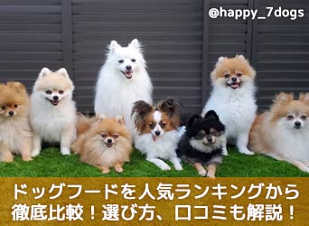 ドッグフードを人気ランキングから徹底比較!選び方、口コミも解説!-サムネイル画像